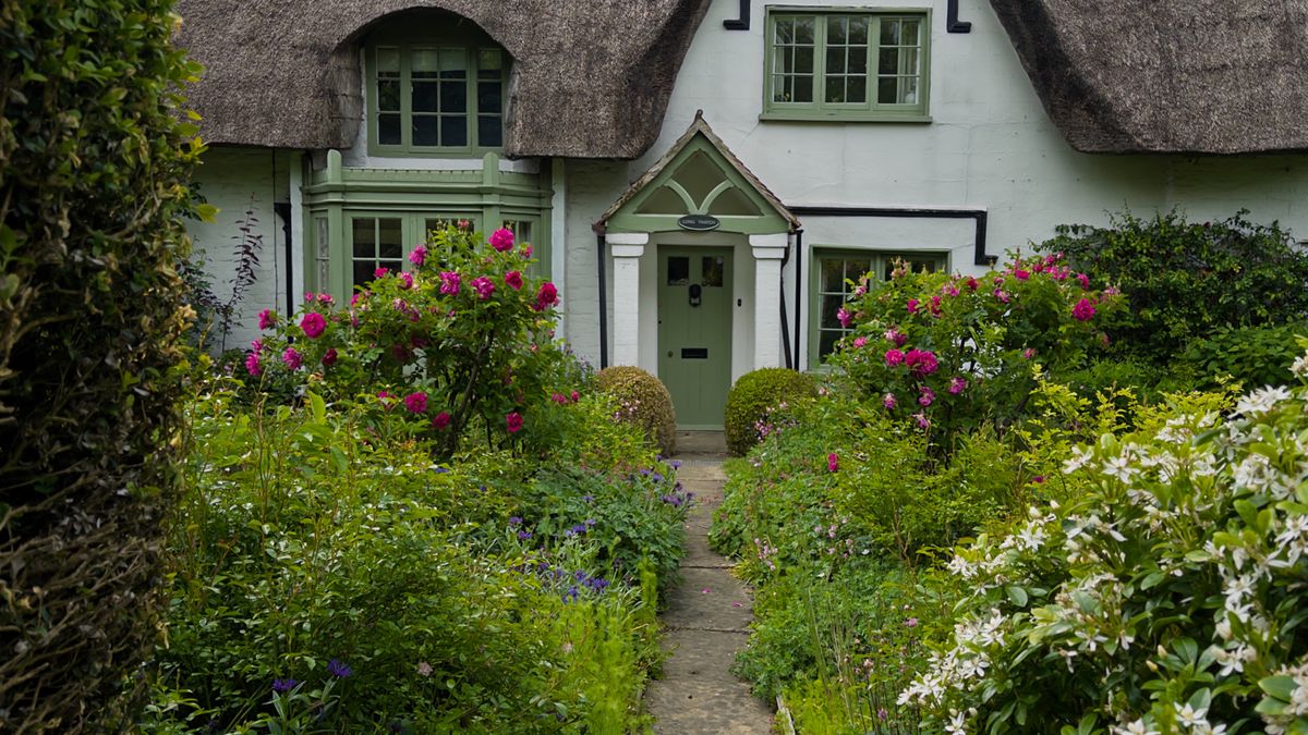 Pruning Roses Correctly for Healthy Growth and More Flowers